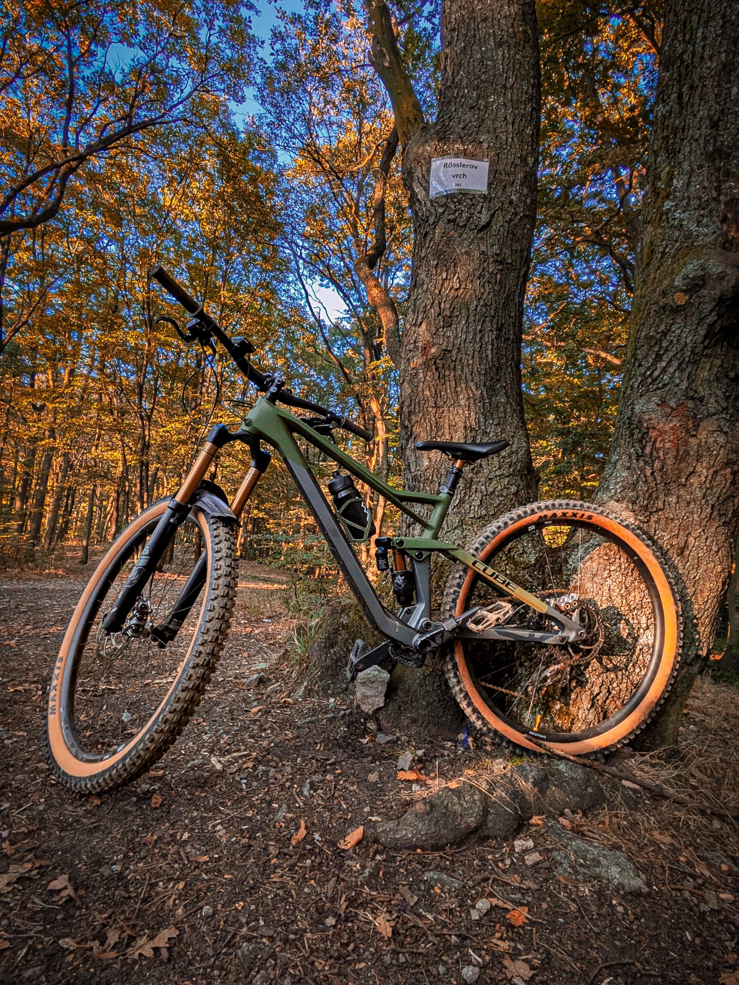 Rider