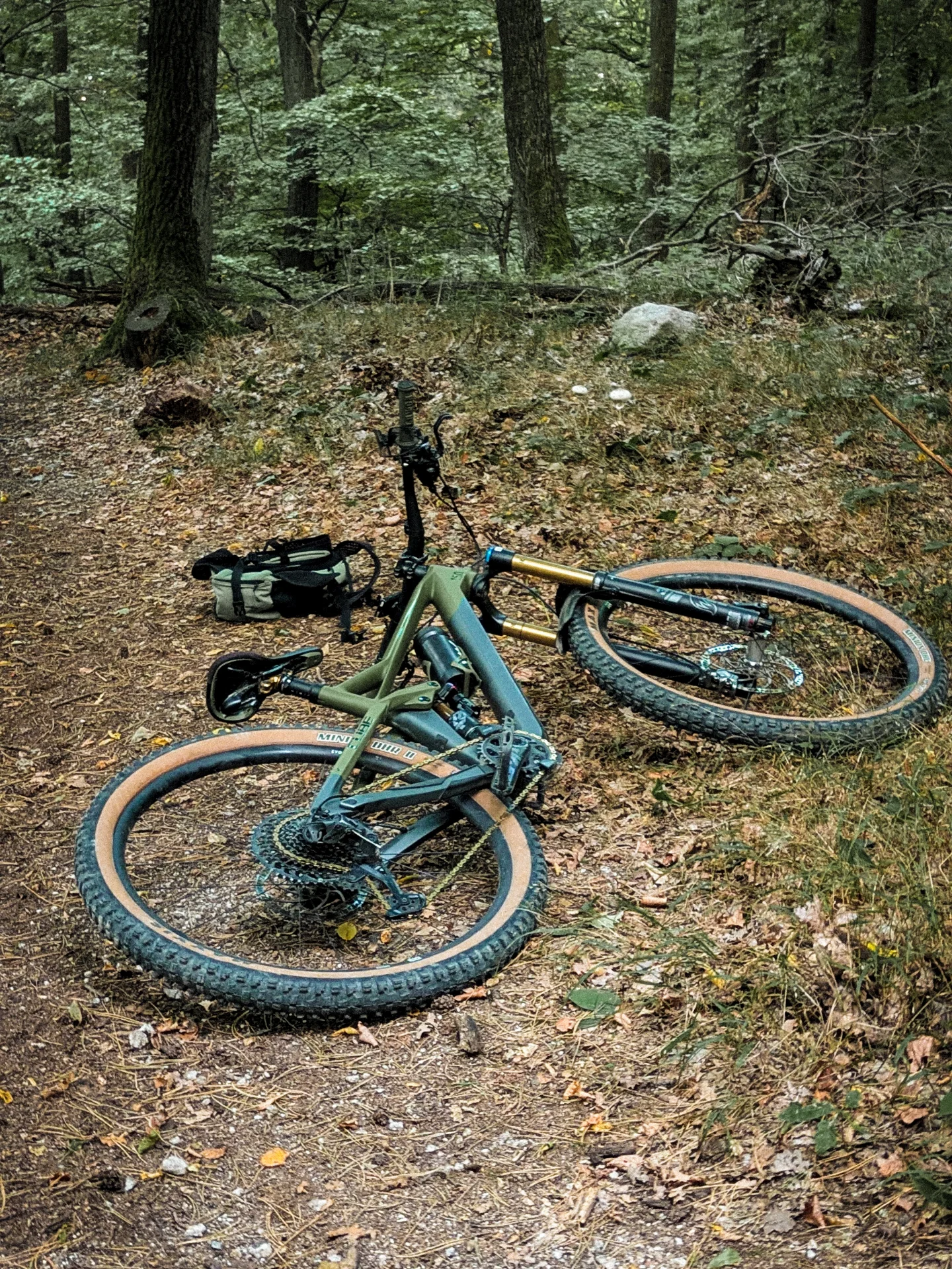 Rider