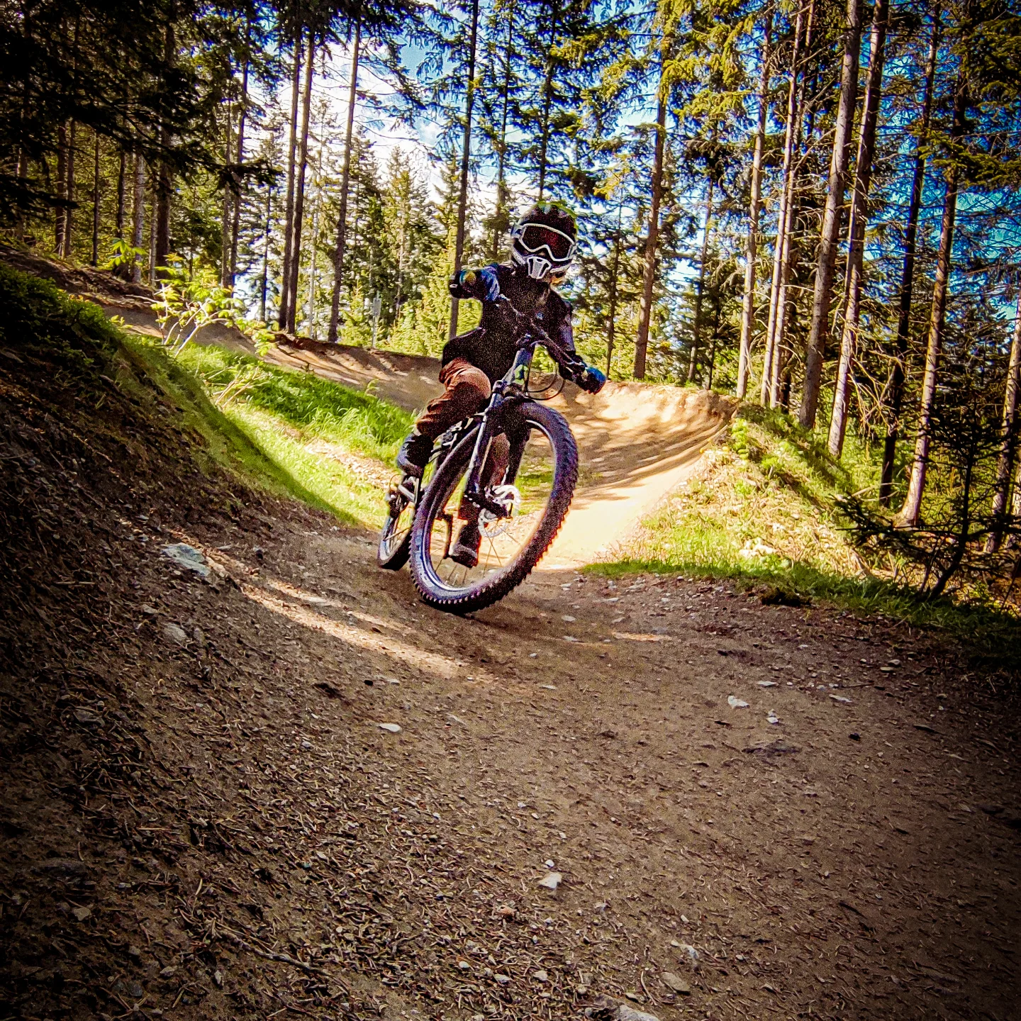 Rider